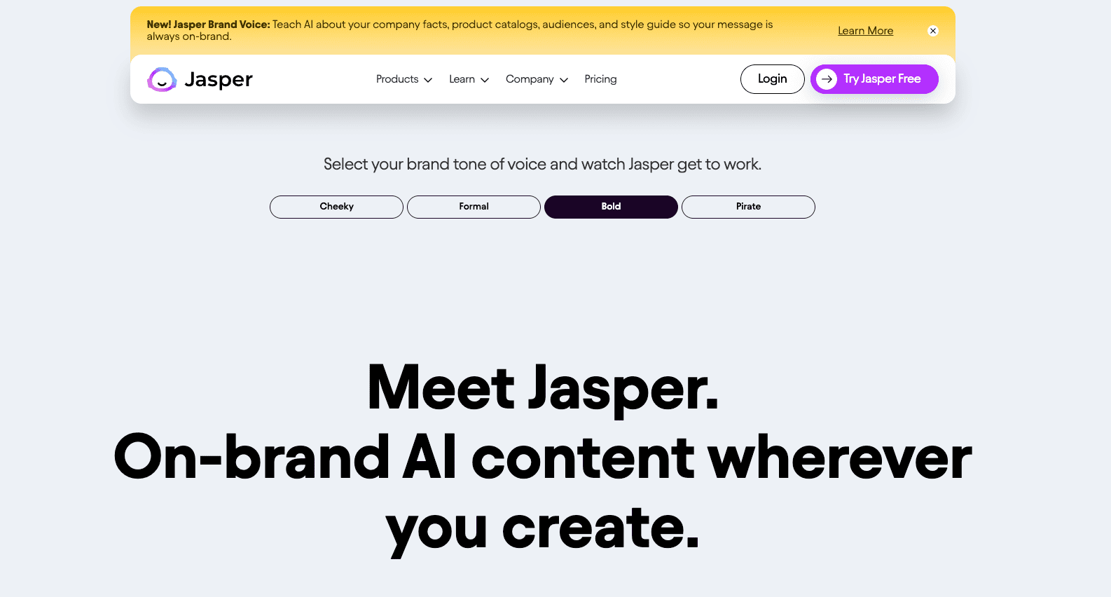 Jasper Website 2023
